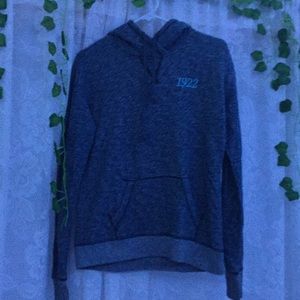 blue hoodie from holister